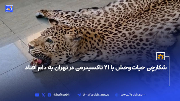 شکارچی حیات‌وحش با ۲۱ تاکسیدرمی در تهران به دام افتاد
