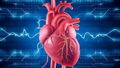 قلب و عروق مرگبارترین بیماری ایرانیان