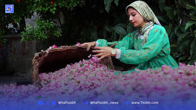 فَرُخَد؛ کاشان کوچک در دل خراسان 