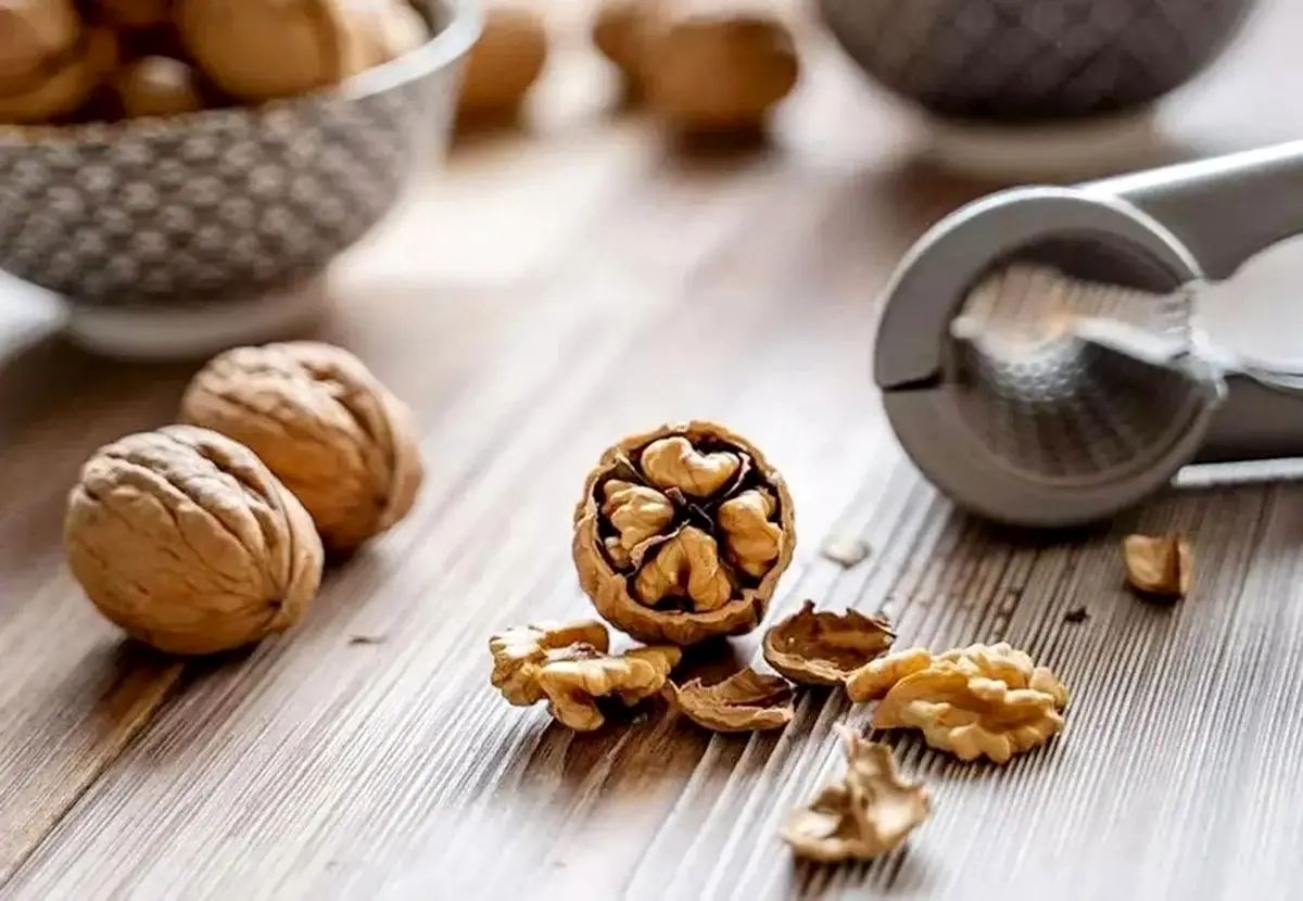 گردو، سپر طبیعی در برابر سرطان روده بزرگ؛ آنچه باید بدانید