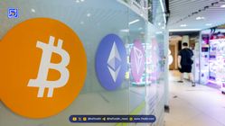 شرکت‌های خزانه‌داری کریپتو در بحران: افت شدید قیمت‌ها و نگرانی‌ها درباره مدل کسب‌وکار