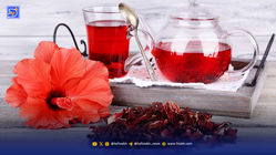 با 6 خاصیت شگفت‌انگیز ‌چای ترش ‌‌آشنا شوید