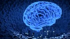 مغز انسان چه زمانی پیر می‌شود؟