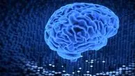 مغز انسان چه زمانی پیر می‌شود؟