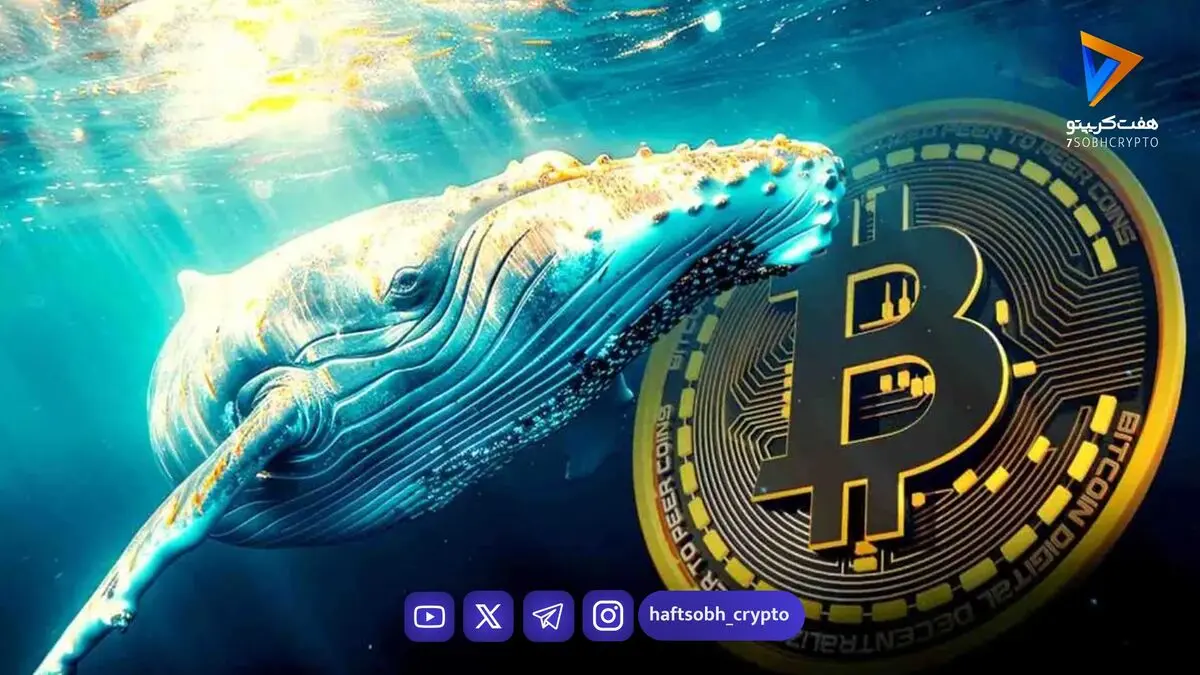 دو نهنگ بیت کوین پس از ۱۳ سال بیدار شدند؛ حالا سرمایه‌شان ۴۸۰ برابر شده است!