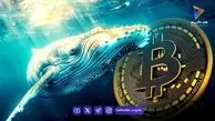 دو نهنگ بیت کوین پس از ۱۳ سال بیدار شدند؛ حالا سرمایه‌شان ۴۸۰ برابر شده است!