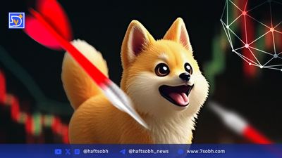 تامزآپ ۳۵۰۰ دستگاه ماینر دوج‌کوین خرید