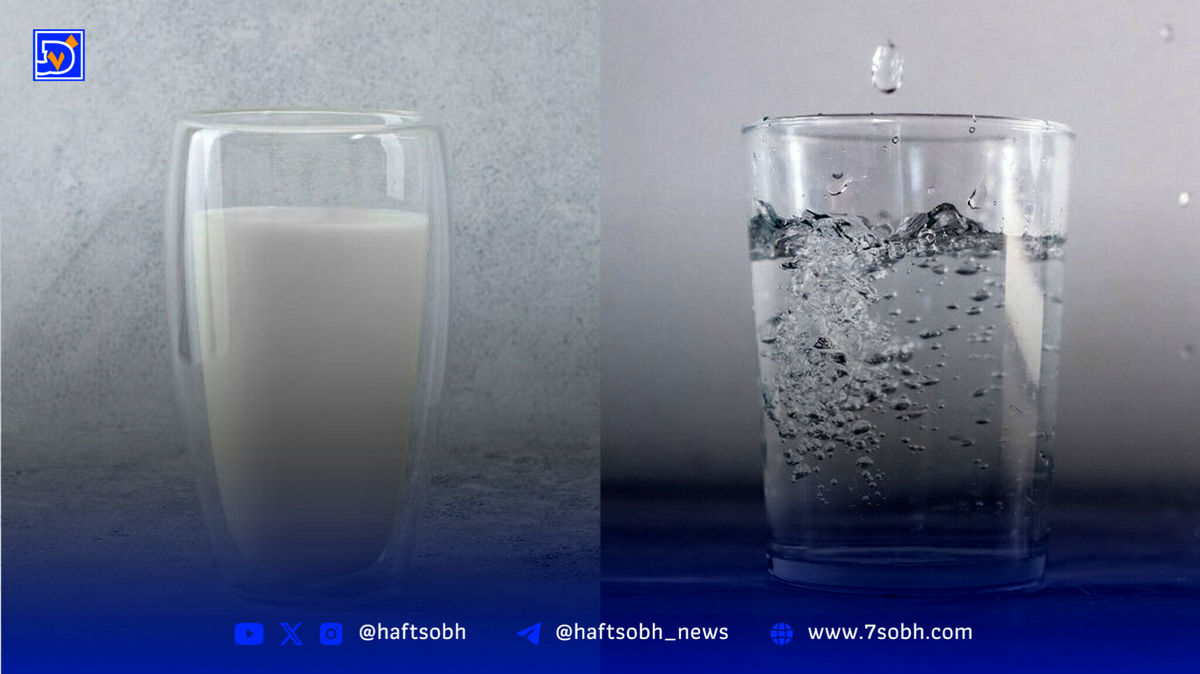 مقایسه شیر و آب؛ چه زمانی کدام را بخوریم؟