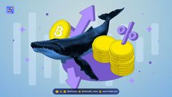 نهنگ بیت‌کوین دوباره بیت‌کوین‌هایش را فروخت