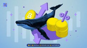 نهنگ بیت‌کوین دوباره بیت‌کوین‌هایش را فروخت