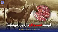 گوشت اسب و الاغ وارد بازار می‌شود؟