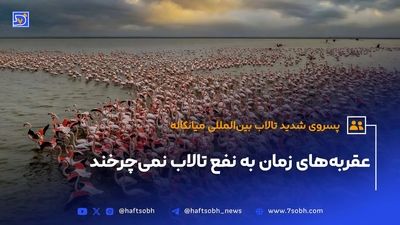 ورود آب به تالاب هامون