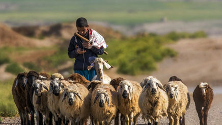 سفر در زمان | تصویری نوستالژی از یک چوپان و پسرانش در ارتفاعات لاچینِ قره‌باغ، سال ۱۹۸۰