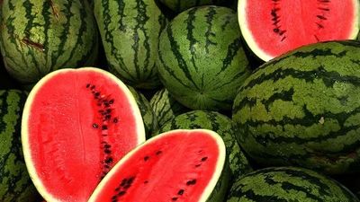 کاهش 40 درصدی بارندگی در کشور؛ فاجعه تشنگی در انتظار ایران