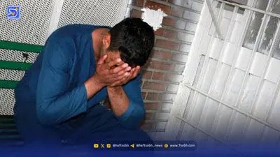 ماجرای قتل مرموز یک استاد دانشگاه در مرند