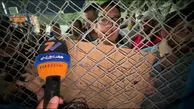 درخواست هوادار پرسپولیس از خدابنده‌لو؛ اگر این فیلم را دیدی، به من پیراهن بده!