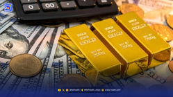 آخرین قیمت دلار، طلا و سکه؛ شبانگاه دوشنبه ۲۸ مهر ۱۴۰۴/ عقبگرد دوباره طلا
