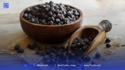 اگر این خوراکی‌ها را صبح بخورید، تا شب خسته هستید