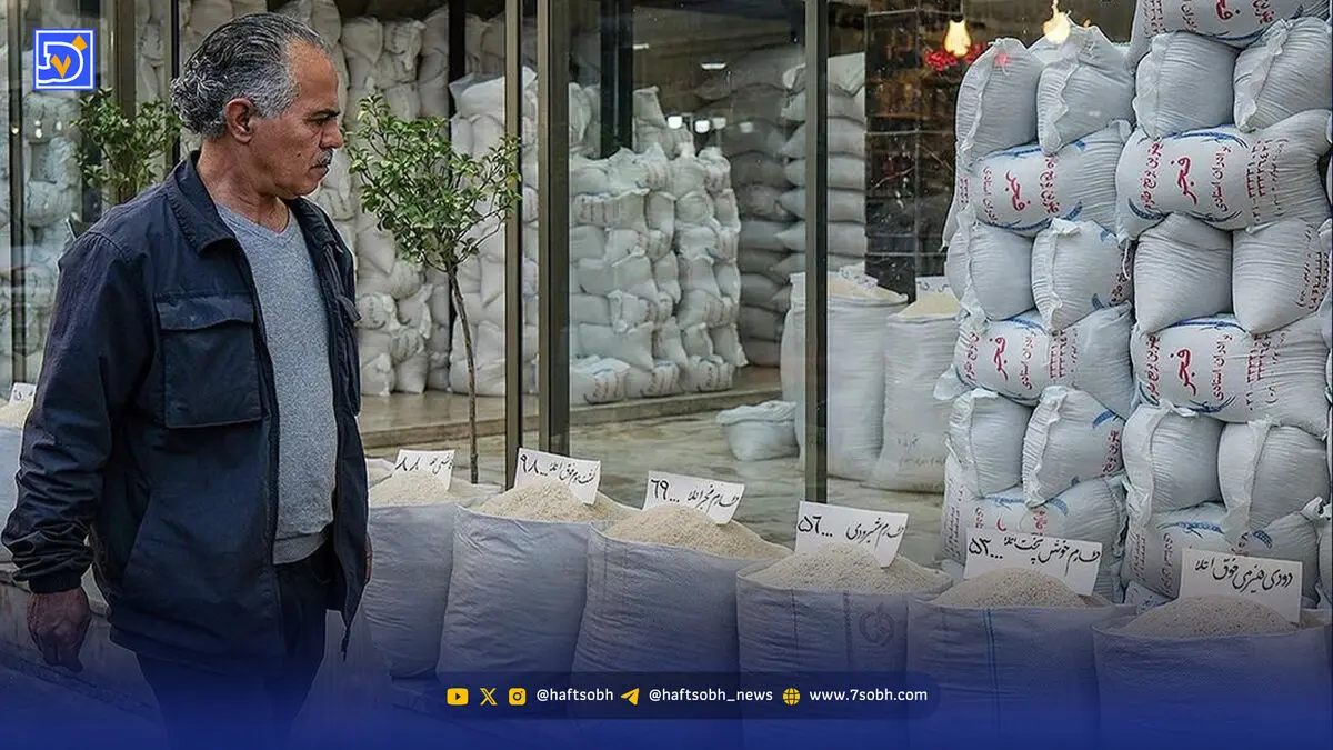 برنج سفره ایرانی‌ها از کجا می‌آید؟  