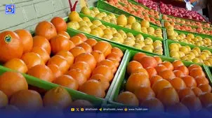 خرید پرتقال‌ ایرانی ممنوع شد! + فیلم