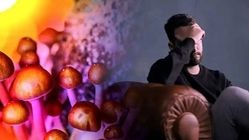 جوانان از کنجکاوی و تبلیغات اینترنتی، به ترکیبات روانگردان رسیدند