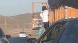 ویدیو | حمله راننده پراید به راننده کامیون وسط جاده