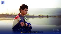 رهایی از مرزها با زبانی جهانی| هر آنچه باید درباره فیلم ماهی در قلاب بدانید