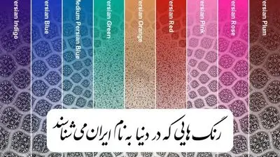 کلاه‌گیس و ژل موی ۳۴۰۰ساله!