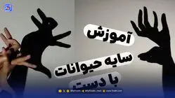 آموزش سایه بازی با دست برای کودکان؛ سایه خرگوش، گوزن، گربه و سگ