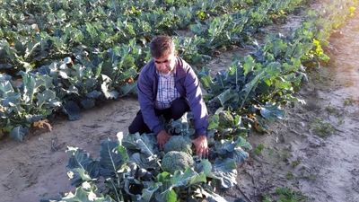 خطر پنهان در غذای تازه