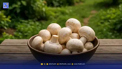 پای مرغ را بخوریم یا نخوریم؟ / بررسی فواید و مضرات مصرف