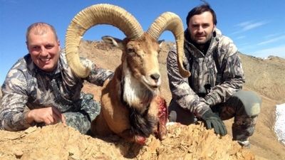 ناگفته‌های رابطه پنهانی محمدرضا پهلوی و پری غفاری