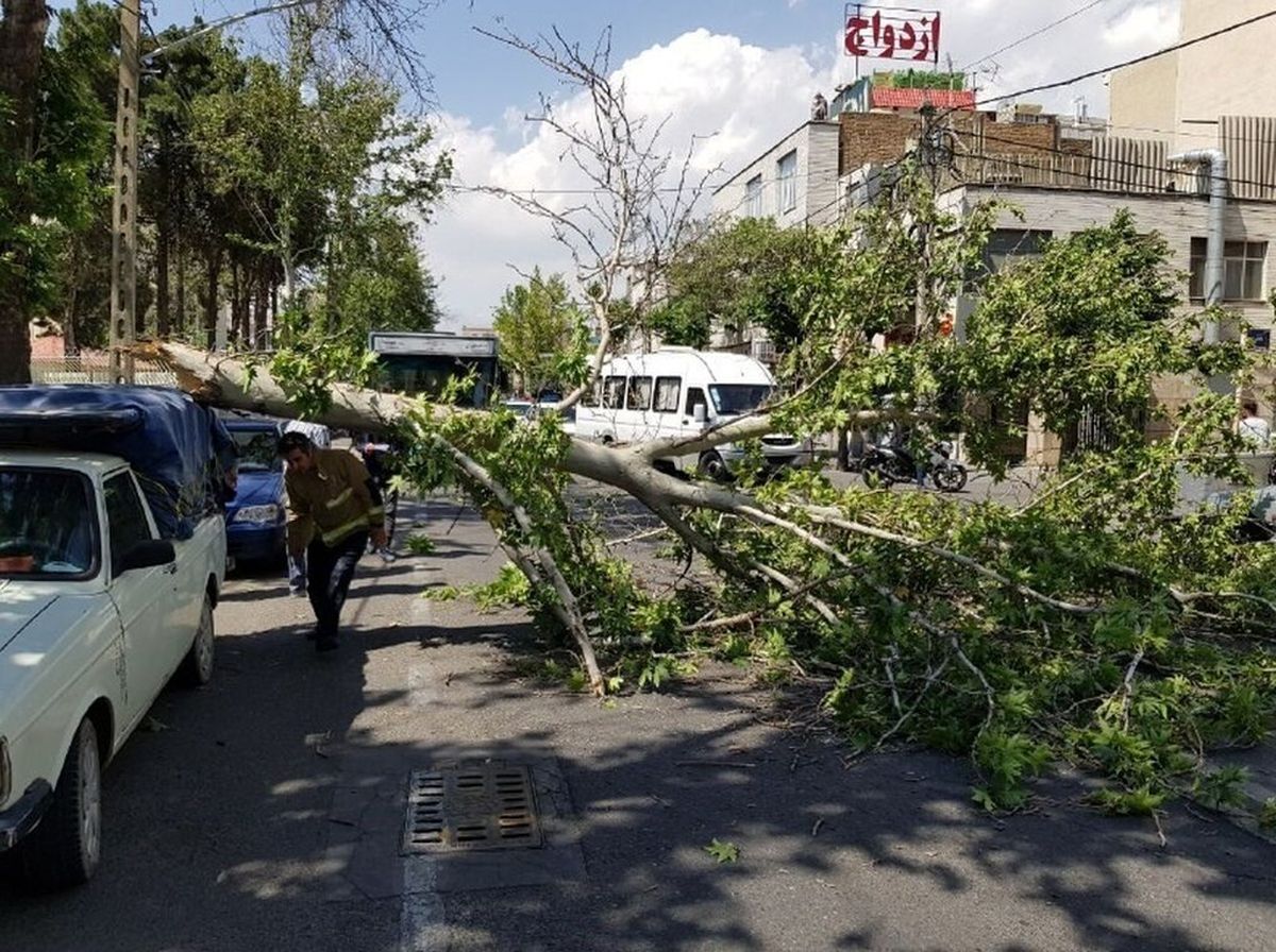 هشدار باد شدید در تهران؛ ستاد بحران به حالت آمادهباش درآمد