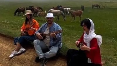 
کشف محموله بزرگ قاچاق حیات وحش در تهران
