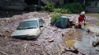 جزئیات خسارات جانی سیلاب سوادکوه