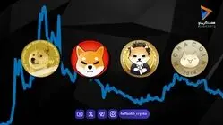 قیمت میم کوین ها امروز ۱۵ شهریور ۱۴۰۵ 