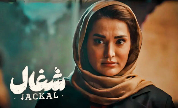 بیوگرافی سولماز حسینی