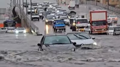 ویدیو | اسب سرگردان این بار در خیابان‌های شیراز