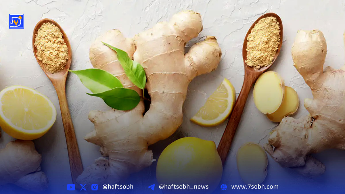 زنجبیل؛ ادویه محبوبی که فشار خون را کنترل میکند