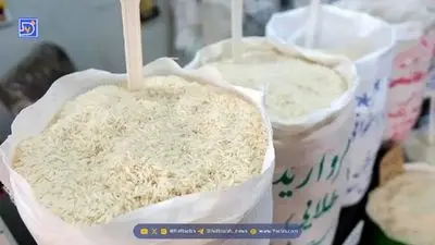 شکر تیغال؛ سلطان عطاری‌ها