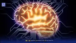 ایرانی‌ها چهارمین ملت باهوش جهان شدند