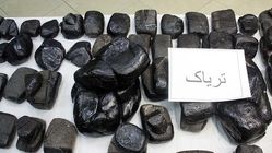 
کامیون میوه با ۹۵ کیلوگرم تریاک در تهران توقیف شد
