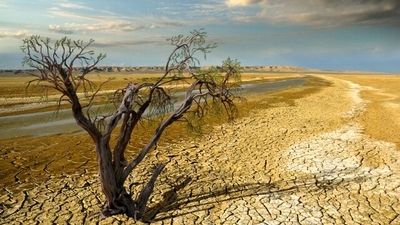 آغاز بارش‌های پاییزی از امروز؛ تهران 15 درجه سردتر می‌شود