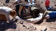 کنده درخت، گنج ۱۲ هزار ساله باشکوه بود