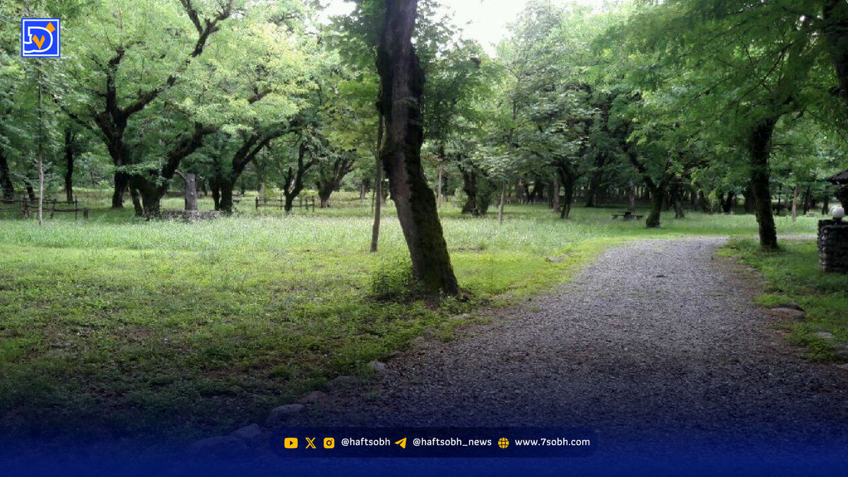سرخهحصار در آستانه تولدی دوباره