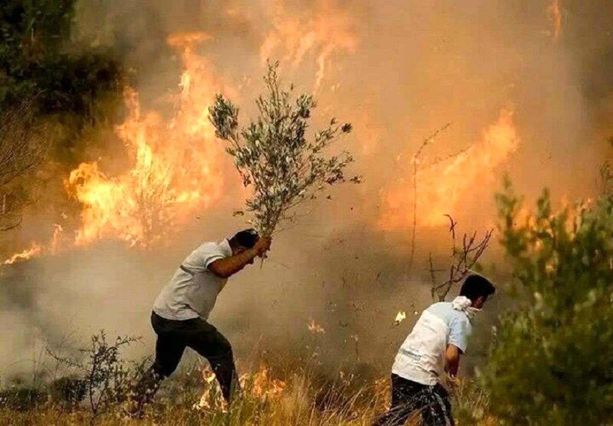 ۳۵ هکتار از مراتع بلده مازندران خاکستر شد