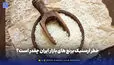خطر ارسنیک برنج های بازار ایران چقدر است؟