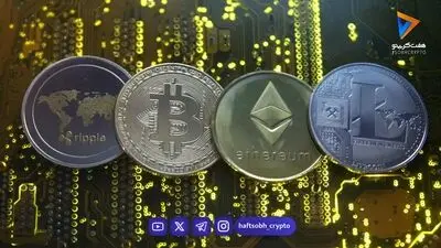 سبقت سود باز آلت‌کوین‌ها از بیت‌کوین؛ نشانه‌ای از افزایش ریسک در بازار مشتقه