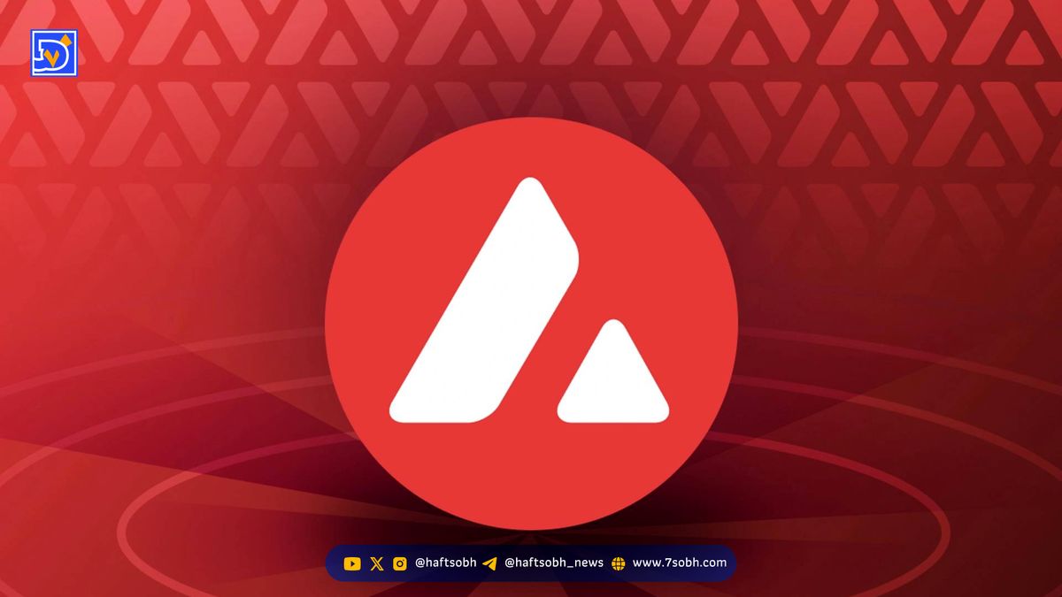 بنیاد Avalanche به دنبال جذب ۱ میلیارد دلار برای پروژههای خزانه دیجیتال
