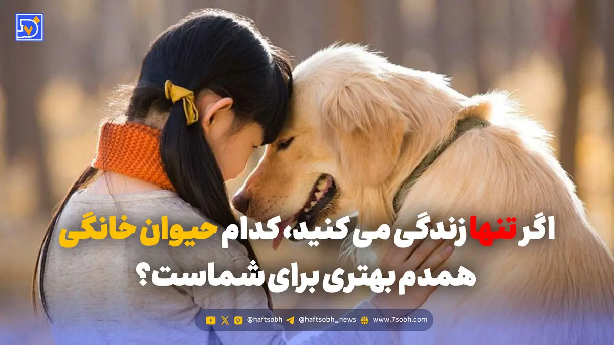 اگر تنها زندگی می کنید، کدام حیوان خانگی همدم بهتری برای شماست؟